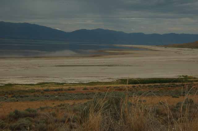 the salt shore that makes up Antelope Island